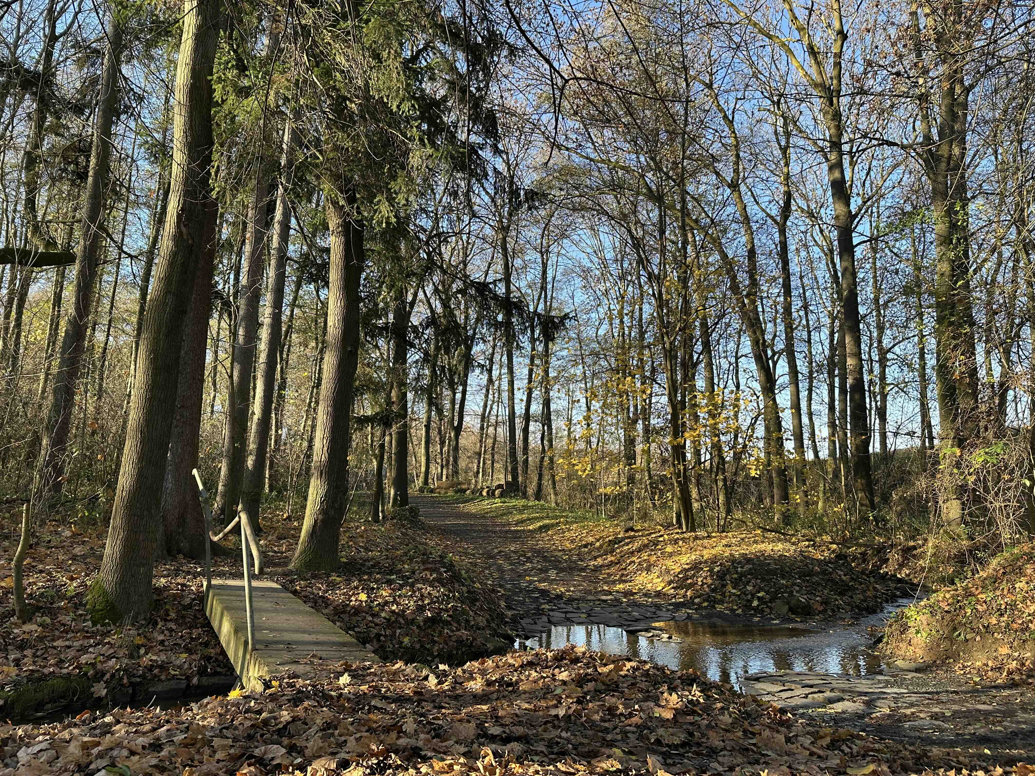 Fall